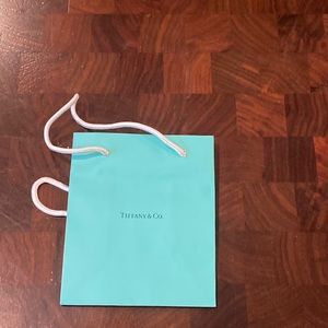 Authentic Tiffany & Co. Small Shopping / Gift Bag